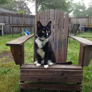 Meet your Posher, Sheila